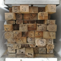 Séchoir à bois professionnel RF sous vide : Séchage rapide, contrôle automatique optimisé pour le séchage de planches de bois dur de grande valeur