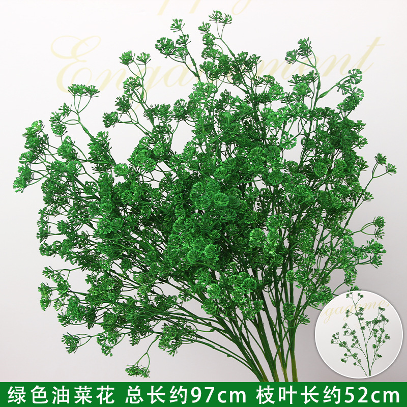 Branche de fleur de colza vert