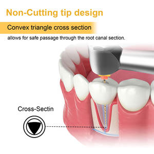 Hete Verkoop Titanium Schroef Niti Goud Roterende Vijl China Tandheelkundige Levering <span class=keywords><strong>Endo</strong></span> Bestand Doos Tandheelkundige Boor Accessoire SX-F3 #25Mm - Product Image 4