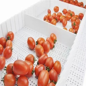 Op Maat Gemaakte Plastic Transportband Modulaire Transportband Voor Voedselindustrie Helling Transportband - Product Image 3