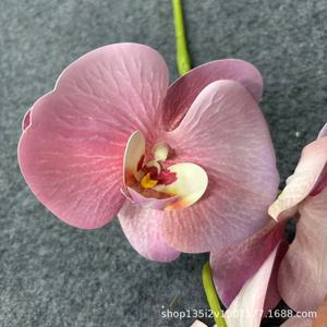 Fleurs artificielles Qiye, orchidées Phalaenopsis imprimées en 3D à 9 têtes, en caoutchouc souple, décoration de mariage, décoration de la maison - Product Image 4