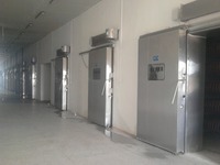 Klantgerichte projecten voor koude opslag in voedselverwerkingsbedrijven, complete koelinstallaties voor vleesverwerkingsfabrieken