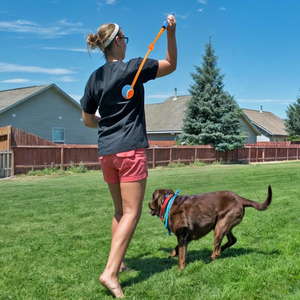 Lanciatore di palline per cani, - Product Image 6
