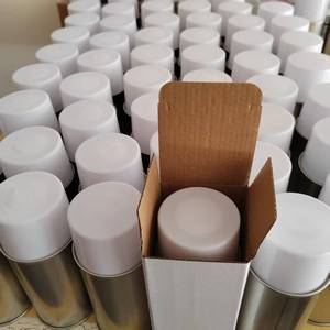 Contenitore Segreto a Forma di Spray per Nascondere Denaro - Cassaforte Nascosta a Forma di Bomboletta Spray - Product Image 5