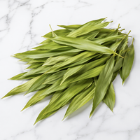 Feuilles de bambou séchées de qualité alimentaire, enveloppe naturelle pour les raviolis de riz, emballage pour le festival du bateau-dragon