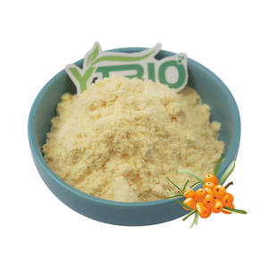 Poudre de cynorrhodon naturelle en vrac - Poudre de fruit d'<span class=keywords><strong>Hippophae</strong></span> <span class=keywords><strong>Rhamnoides</strong></span> biologique pour compléments alimentaires, boissons et étiquette privée - Product Image 2