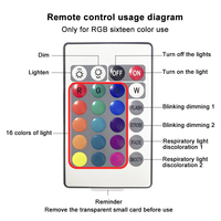 Ocean Wave Aurora Projecteur Lumière 16 Couleurs Dynamique Rotatif Flamme Cristal Lampe Avec Télécommande Rgb Dimmable pour Salon Décor