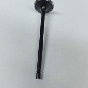 วาล์ว 55572667 สำหรับ Buick Regal Buick LaCrosse Chevrolet Malibu XL อะไหล่เปลี่ยนเครื่องยนต์ - Product Image 1