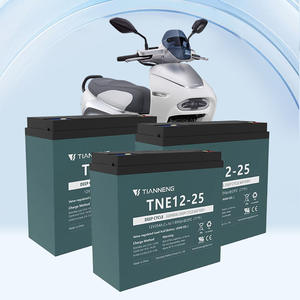 Tianneng Hot Sale Batterie Hersteller Großhandels preis Kleine Batterie Pack Home Scooter Batterie - Product Image 1