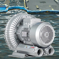 1hp 50HZ Vortex Souffleur à anneau haute pression Diffuseur d'aération de l'eau d'étang de rivière Pompage d'air