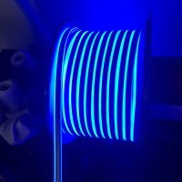 Ingénierie Neon Flex 50m Roll Outdoor Building Lighting 24V 110V 220V 10x15mm Cuttable Neon LED Strip Light ETL Certified