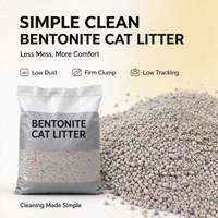 Litière pour chat en bentonite non parfumée, agglomérante rapide, sans poussière, contrôle des odeurs, pour chats sensibles, vente en gros, directement de l'usine