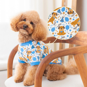 Vêtements pour chiens de créateurs, personnalisés, multicolores, confortables, vêtements pour animaux de compagnie - Product Image 3