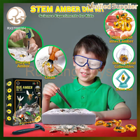 Suministro de fábrica Unisex educativo insecto ámbar arqueología conjunto juguete divertido y aprendizaje STEM plástico empaquetado en caja para niños