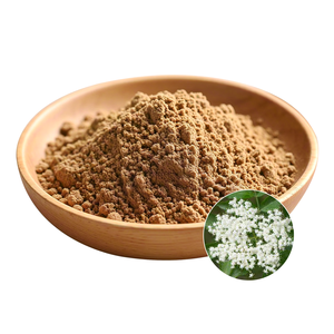 Estratto Puro di Bacche di Sambuco Nigra Certificato HACCP ISO Servizio Personalizzato per la Crescita del Brand in Tutte le Categorie - Product Image 3