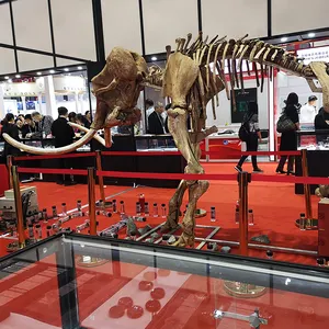 쥬라기 공원에 대한 하이 퀄리티 공룡 화석 복제 실물 크기 공룡 해골 디노 모델