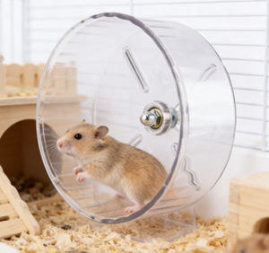 Túnel Impermeable para Hámster, Juguete Silencioso con Ruedas, Soporte para Hámster Golden Bear, Suministros para Mascotas, Juguete de Paisaje en Caja - Product Image 1