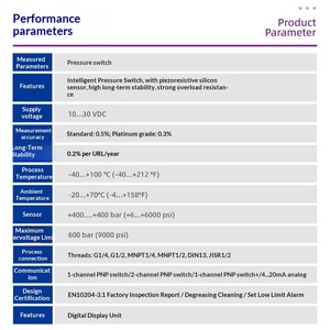 Manómetro E+H PTP31B No a Prueba de Explosiones, PNP de 3 Cables, 4MPA/10MPA Opcional - Product Image 4