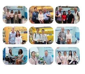 Boying Shipping <span class=keywords><strong>Company</strong></span> en China Transporte marítimo de seguridad Envío a Arabia Saudita asiática - Product Image 2