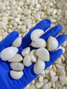 Aglio Pelato Nuovo Raccolto 2026, Pronto per Cucinare, Pulito, Grado Alimentare, Vendita all'Ingrosso, Direttamente dalla Fabbrica - Product Image 2