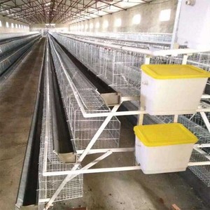 Jaulas de batería tipo A para gallinas ponedoras, jaulas para pollos de granja africana, jaulas avícolas para granjas de cría de escala mediana-grande - Product Image 4