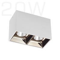 Spot lumineux LED 2x10W, 20W, COB, montage en Surface