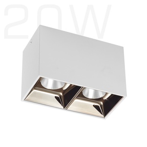 Bề Mặt Gắn <span class=keywords><strong>Downlight</strong></span> 2X10W 20W Đôi Đầu <span class=keywords><strong>COB</strong></span> Dẫn Ánh Sáng Tại Chỗ Đôi Bề Mặt Gắn <span class=keywords><strong>Downlight</strong></span> - Product Image 2