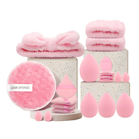 WELLFLYER MABR-259 Nouveau Kit de 20 Outils de Beauté : Ensemble de Pinceaux de Maquillage, Éponge Nettoyante Visage et Outils de Maquillage Coussin d'Air