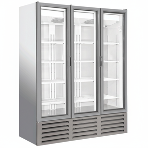 Refrigerador Comercial Vertical de Una Puerta con Triple Cristal y Una Sola Temperatura para Exhibición de Bebidas, 1264 L - Product Image 2