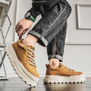 Chaussures tendance en toile à lacets pour hommes, collection été 2026, style sportif décontracté, semelle épaisse, édition limitée - Product Image 5