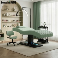 Table de soin électrique de luxe en cuir PU avec lumière LED et commande au pied, idéale pour les soins du visage, table de massage, lit à cils, 3 moteurs