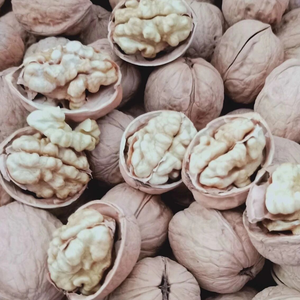 Nouvelle Récolte 2026 : <span class=keywords><strong>Noix</strong></span> Entières <span class=keywords><strong>de</strong></span> Haute Qualité, Fraîches et Naturelles, Idéales pour les Snacks, la Pâtisserie et la Vente en Gros - Product Image 4