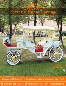 Carrozza elettrica turistica stile europeo caleches turismo turismo carrozza carrozza carrozza trainata a cavallo carro - Product Image 5