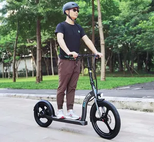 Eco flying front /rear suspension fork e-scooter powerful motor 36V electric scooter long range all terrain electric scooter