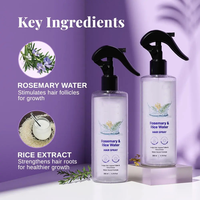 Huile Essentielle de Romarin Naturelle en Gros, Marque Privée, Brume Nourrissante pour le Cuir Chevelu, Huile Corporelle en Spray, Distillée à la Vapeur, Haute Qualité, Tout Usage