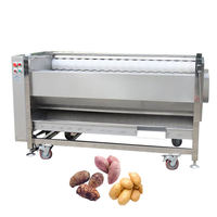 Machine industrielle de lavage et de pelage de pommes de terre, carottes, gingembre, radis, igname, navetteuse, 380V, 7 brosses