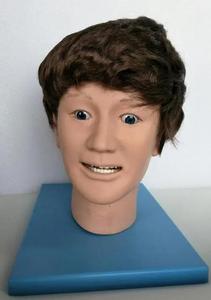 Maniquí de Entrenamiento para Operaciones de Rescate Clínico, Modelo de Lesión Cerebral Traumática, Material de PVC para Ciencias Médicas, Escuela de Capacitación de Enfermería - Product Image 2