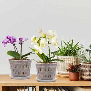 Pot à orchidées en gros avec trous et soucoupes, pots à orchidées en plastique transparent pour plantes d'intérieur et d'extérieur, pots de jardinage - Product Image 3
