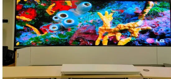 Flexible Full Color LED Video Display with Cardboard and Wooden Carton