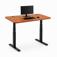 Base de bureau électrique réglable en hauteur à double moteur pour postes de travail de bureau