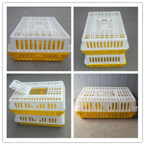Nouvelles caisses de transport pour poulets, cage/poulailler <span class=keywords><strong>en</strong></span> plastique PE bon marché avec une capacité de 7 à 10 poulets, caisses agricoles - Product Image 6