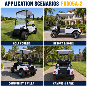 Carrito de Golf de 2 Plazas en Oferta, Carrito Urbano con Color Personalizado, Modelo Fd005a-2 - Product Image 5