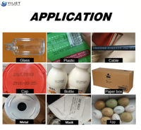 Impresora de Inyección de Tinta Portátil TIJ de 600DPI para Logotipos, Fechas, Números de Lote, Metal, Plástico, Madera, Huevos/Flexibles, Alimentada por Batería, 28 Idiomas, Puerto USB