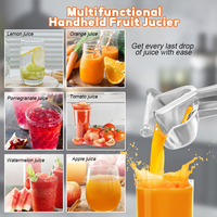 Daosheng Groothandel Keuken 304 Food Grade Roestvrijstalen Handpers Fruit Sinaasappel Juicer Citroenpers Citrus Juicer
