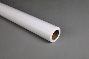 Vải Bạt Mỹ Thuật In Phun Dung Môi Sinh Thái Cuộn Vải <span class=keywords><strong>Polyester</strong></span> Bóng <span class=keywords><strong>260gsm</strong></span> Để Vẽ - Product Image 5