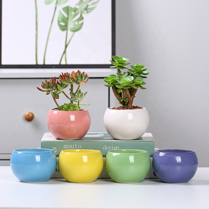 Pot de fleurs en céramique écologique <span class=keywords><strong>pour</strong></span> chat, <span class=keywords><strong>pour</strong></span> la décoration de la maison et du jardin, pot à succulentes en porcelaine <span class=keywords><strong>pour</strong></span> chat, vente en gros - Product Image 4