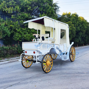 Nouvelle Conception Simple et Élégante, Voiture Électrique de Type Carrosse, Populaire, 4 Roues, Blanche, Royale, pour Visites Touristiques, Chariot à Chevaux Victoria, Véhicule à Vendre - Product Image 1