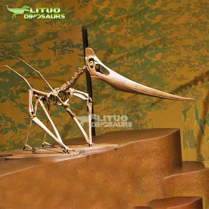 Modelo de <span class=keywords><strong>Esqueleto</strong></span> de <span class=keywords><strong>Pteranodon</strong></span> de Tamaño Real en Resina y Fibra de Vidrio para Interiores y Exteriores, para Centros Comerciales y Parques de Trampolín - Product Image 1