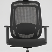Chaise de bureau ergonomique en maille, vente en gros d'usine, plusieurs couleurs au choix, support lombaire réglable 2D, chaise de direction à dossier haut