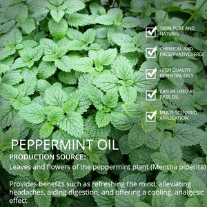 Huile essentielle de menthe poivrée distillée à la vapeur de qualité alimentaire pour le chewing-gum Pastilles pour la gorge Rafraîchisseur d'haleine - Product Image 4